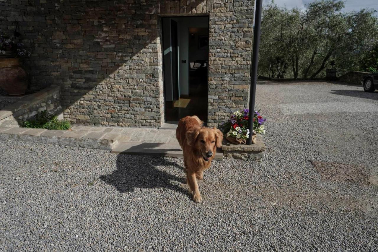 B&B Il Pianolo Perinaldo Exteriör bild