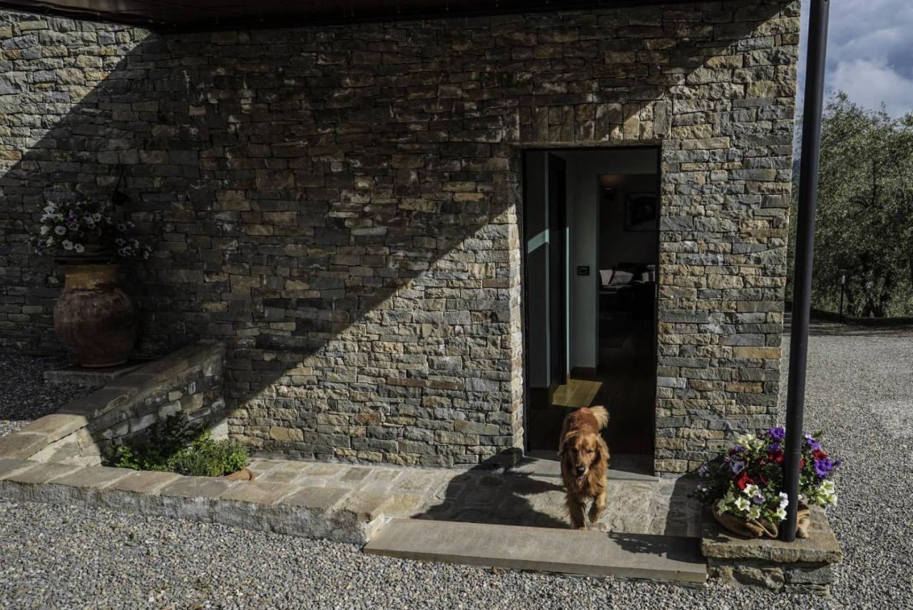 B&B Il Pianolo Perinaldo Exteriör bild